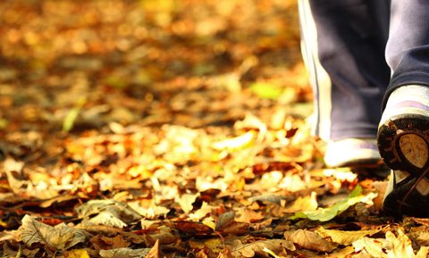 Apprendre à  marcher, c’est désapprendre  à courir