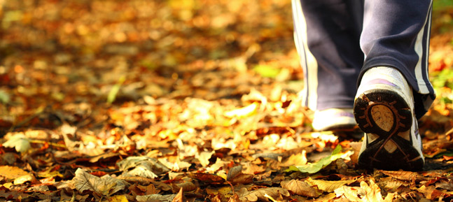 Apprendre à  marcher, c’est désapprendre  à courir