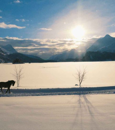 Uitgetest: mindfulness in de sneeuw