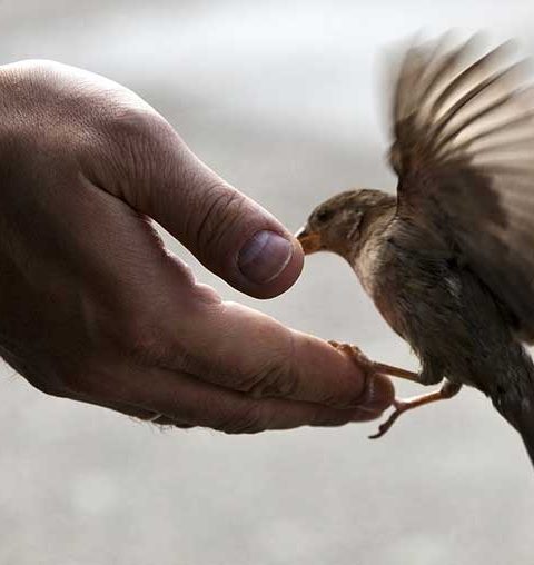 Internationale dag voor de uitroeiing van armoede