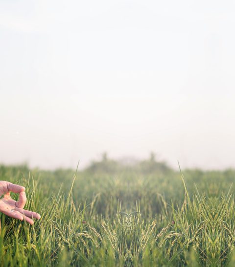 Meditatie vormt je brein, zegt de neuroloog