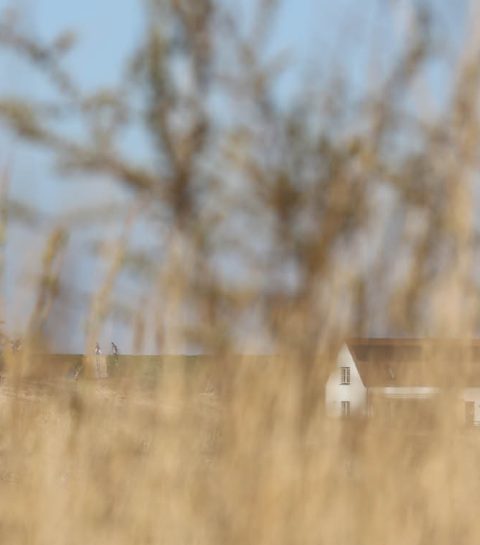 Samenleven met de zee … in West-Zeeuws-Vlaanderen